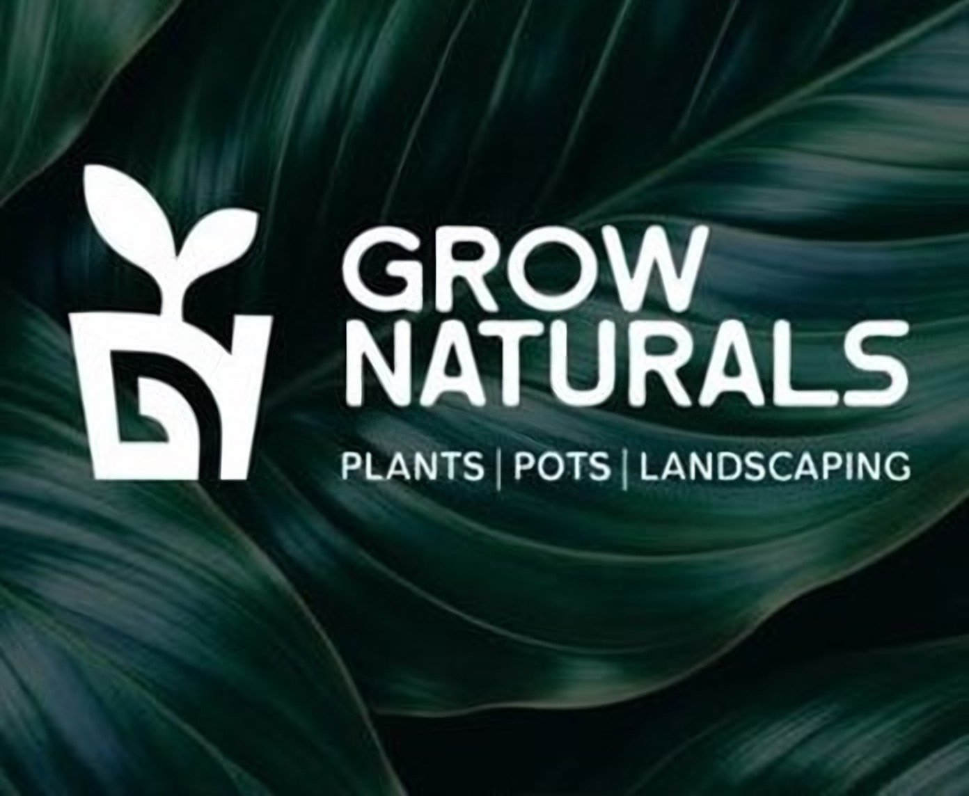 Grow Naturals logo on leaves
